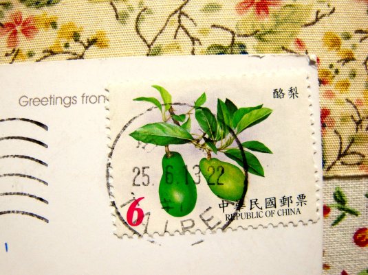 Zhongzheng02